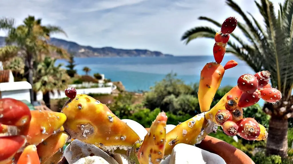 Apartment Villa Carabeo Nerja